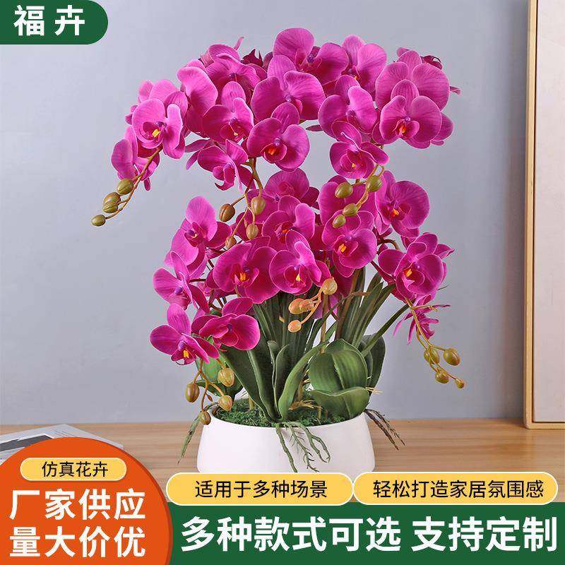 手感蝴蝶兰仿真花盆景假花卉插花花瓶摆设客厅摆件高端餐桌装饰花,机械设备,其他机械设备,淘宝优惠券,粉丝福利购,淘宝优惠卷