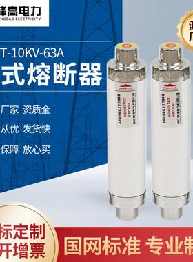 供应高压管式熔断器XRNT-10KV-63A高压交流熔断器互感器防爆