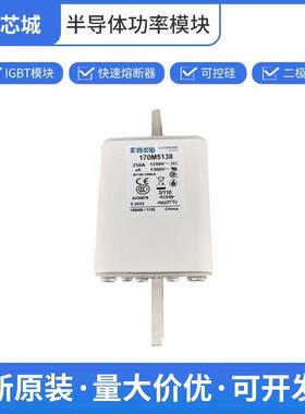 170M5138端子式熔断器保险丝巴斯曼数量充足批次22+