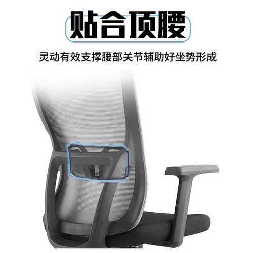 办公椅久坐不累 电脑椅学习椅转椅可升降靠背会议椅人体工学椅