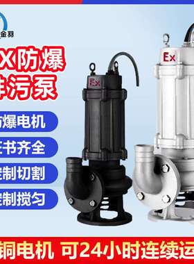 BQW150-180-15-15潜水排污泵WQB国标EX加油站煤矿防爆潜污泵