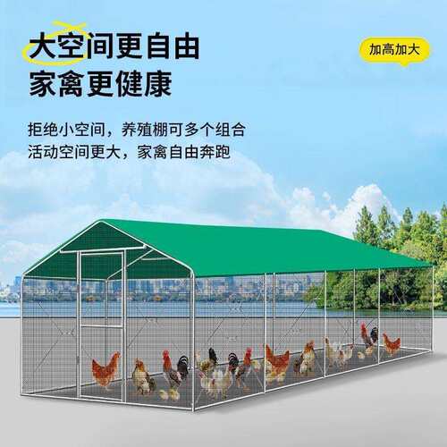 家用室外防雨鸡棚鸡舍养鸡鸭鹅鸽笼子户外大型孔雀羽遮阳棚专用笼