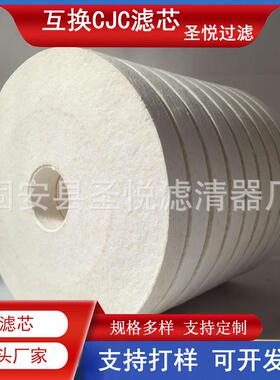 互换CJC滤芯PA5600302PA5600301离线精滤器滤芯A38/60聚酯混合