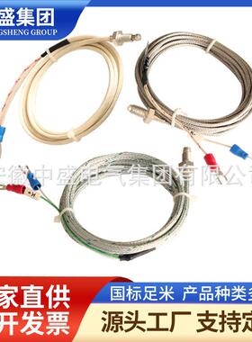 双支铂热电阻WZPM2-001-A3E300-50000