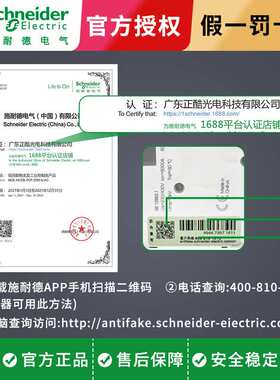 施耐I德马达保护开关微型断路器 GV3-P40  P50 P65 电流37A-65 A