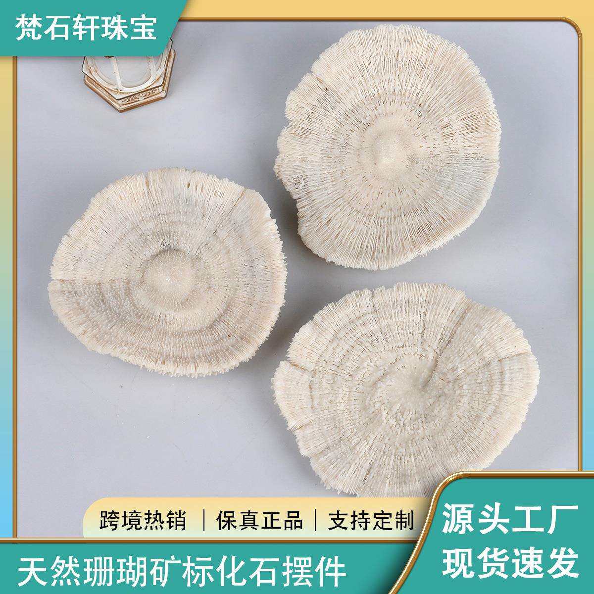 新品天然水晶原石打磨珊瑚蘑菇家居装饰品促销