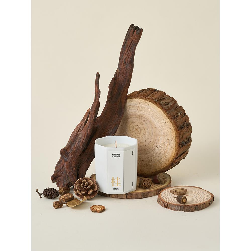 高级感小众树桩桌面摆件沉木造景 木头树枝香薰产品拍照道具装饰