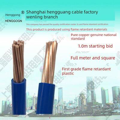 国标阻燃进户线单股电缆BV10 16 25 35 50平方家装用电线单芯铜线