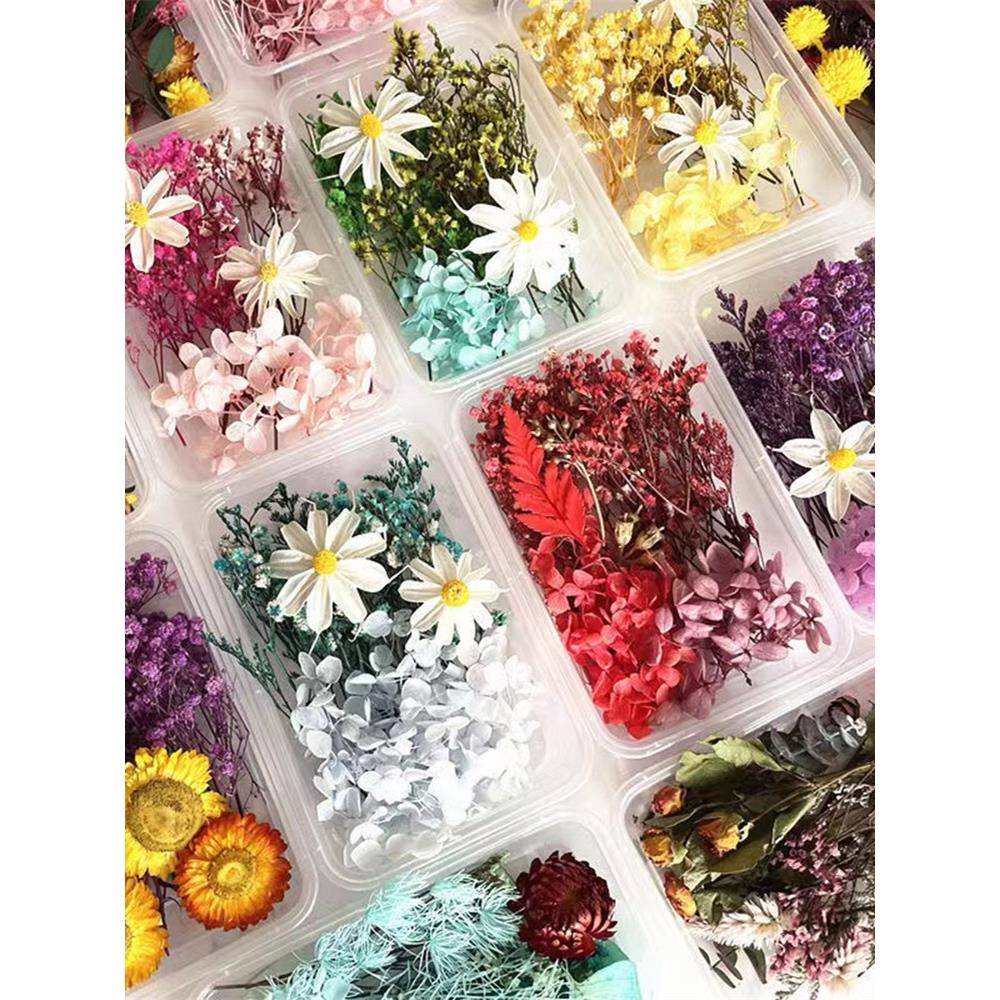 永生花材料包干花相框团扇画贺卡干燥花手工天然真花盒滴胶diy沙