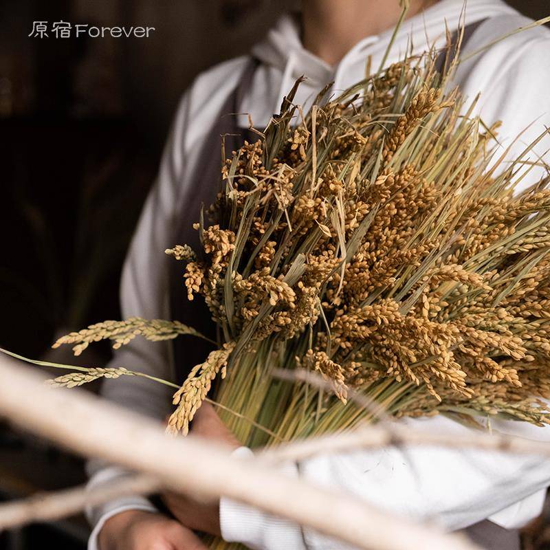 秋意乡村稻穗干花舞台婚庆民宿场景布置装饰开业插花束搭配干花材