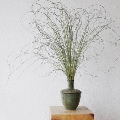 长枝仙女草细叶芒干 干燥花包花束小清新客厅装饰天然插花材料