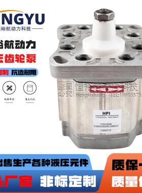 HPI齿轮泵P3BAN3025HL10B03NP2AAN3060HL20A02NP1BAN2012液压泵