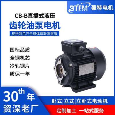 三相异步电机齿轮油泵CB-B/HGP1A/TOP/BB16国标380V纯铜马达