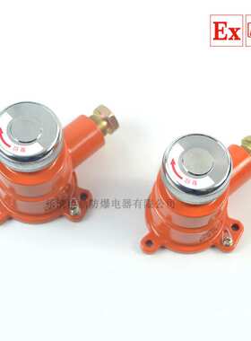 BZA2-5/36J(A)矿用隔爆型急停按钮开关防爆急停控制按钮5A36V