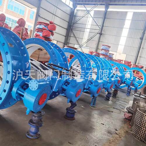 双向压法兰软密N封偏心蝶阀球墨铸铁大口径双市政阀门D10-DN30000