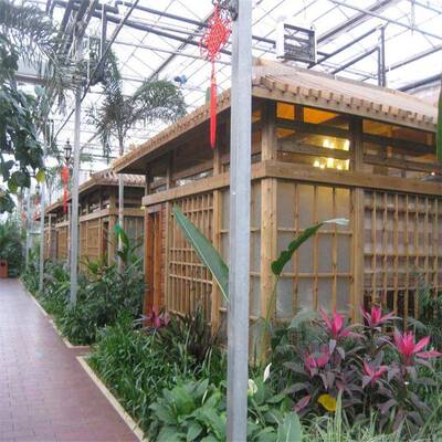 新型一体化设计苗床大规模生态餐厅接待客人酒店观光绿色园林昌越