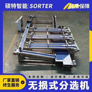 水果无损分选机草莓重量选果机蜜瓜称重香酥梨呵护式分拣机