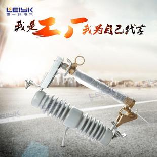 200A高压跌落式 100 熔断器高压熔断器保险 24KV 雷一电气RW12
