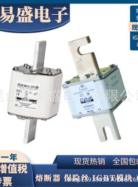 金米勒熔断器R1045641R1045941R1046041德国JEANMULLER快熔