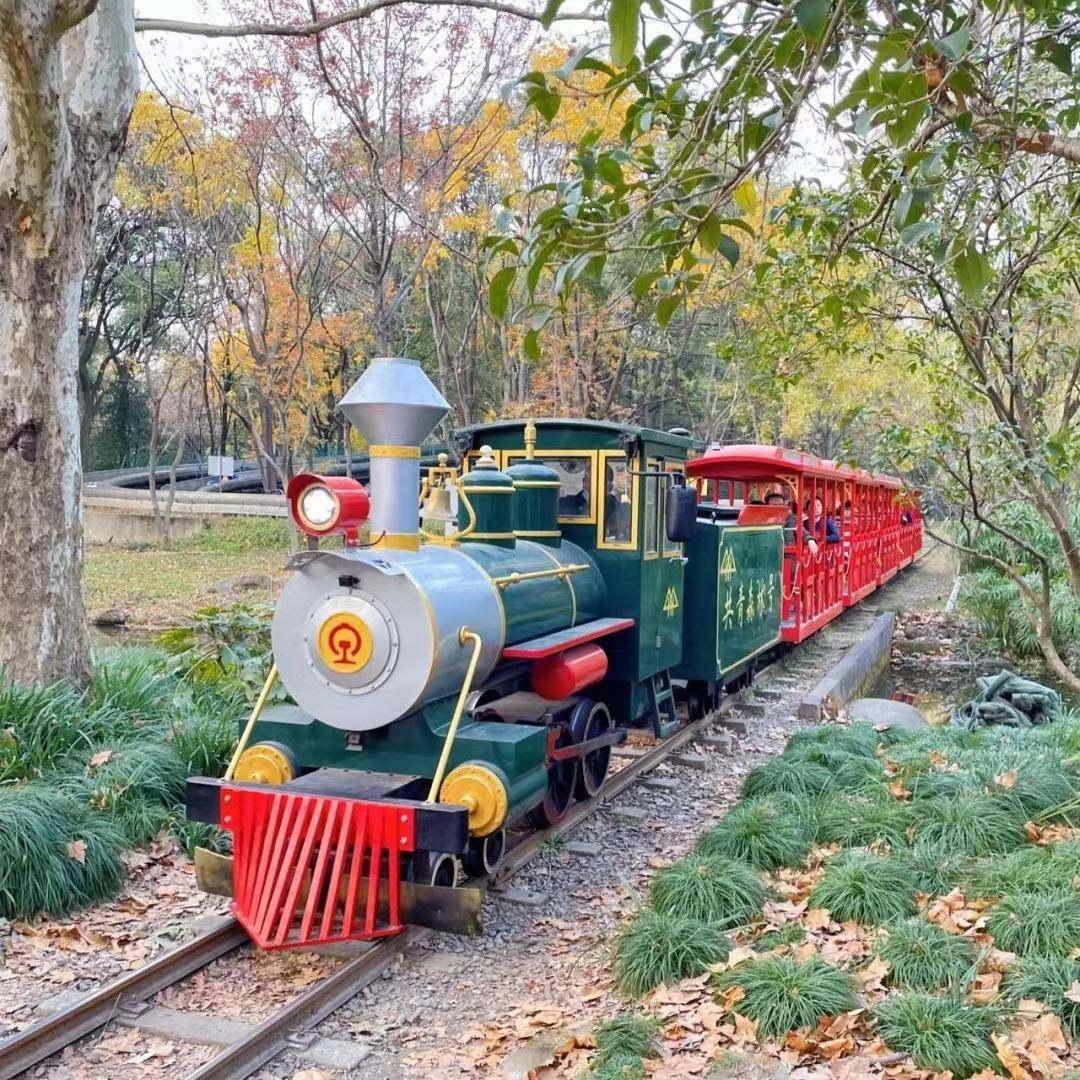 户外观光火车稻田仿古蒸汽轨道电车网红夜景文农旅游乐无动力设备,鲜花速递/花卉仿真/绿植园艺,割草机/草坪机,淘宝优惠券,粉丝福利购,淘宝优惠卷