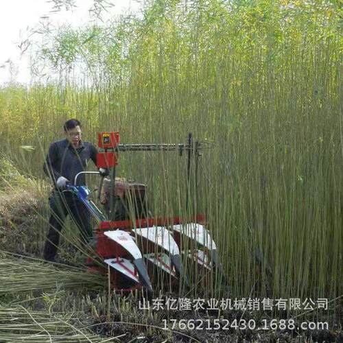 河北芦苇燕麦割收割机 叶菊甜迷迭香晒机 FED一边铺割放艾草收机