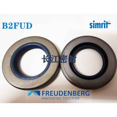 密封件骨架油封B2型外露骨架密封圈CFW德国密封圈