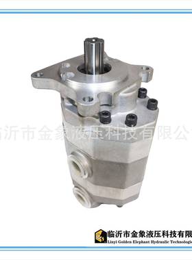 2CB-FC16/16双联泵25/2532/3240/4050/5063/50