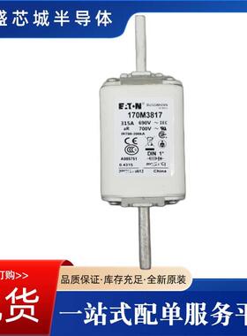 高压限流熔断器170M2658170M2659保险丝现货包邮型号齐全