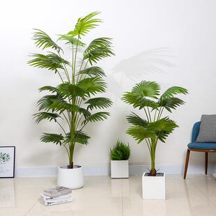 室内绿植盆栽仿真加州蒲葵扇葵唐棕葵大型假树软装造景装饰摆件落