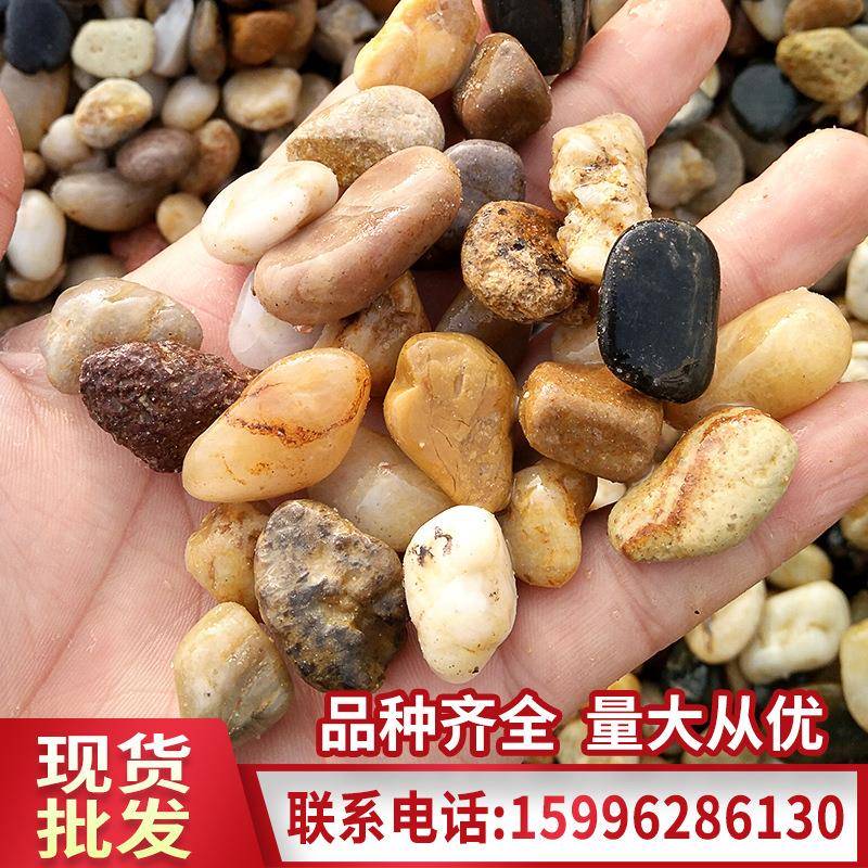 地暖石豆石家装装修小石子滤料石水洗石耐高温汗蒸鹅卵石专用砂石