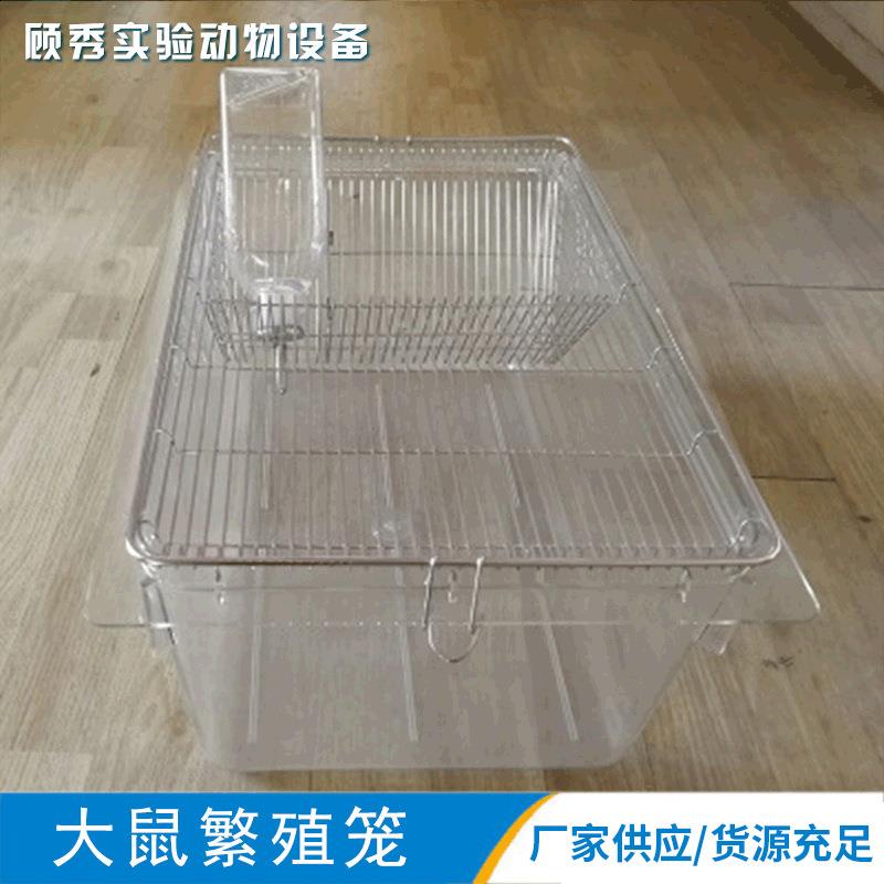 CP-4大鼠饲养笼大小鼠实验笼白鼠饲养笼供应PC透明动物笼具