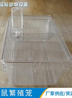 CP-4大鼠饲养笼大小鼠实验笼白鼠饲养笼供应PC透明动物笼具