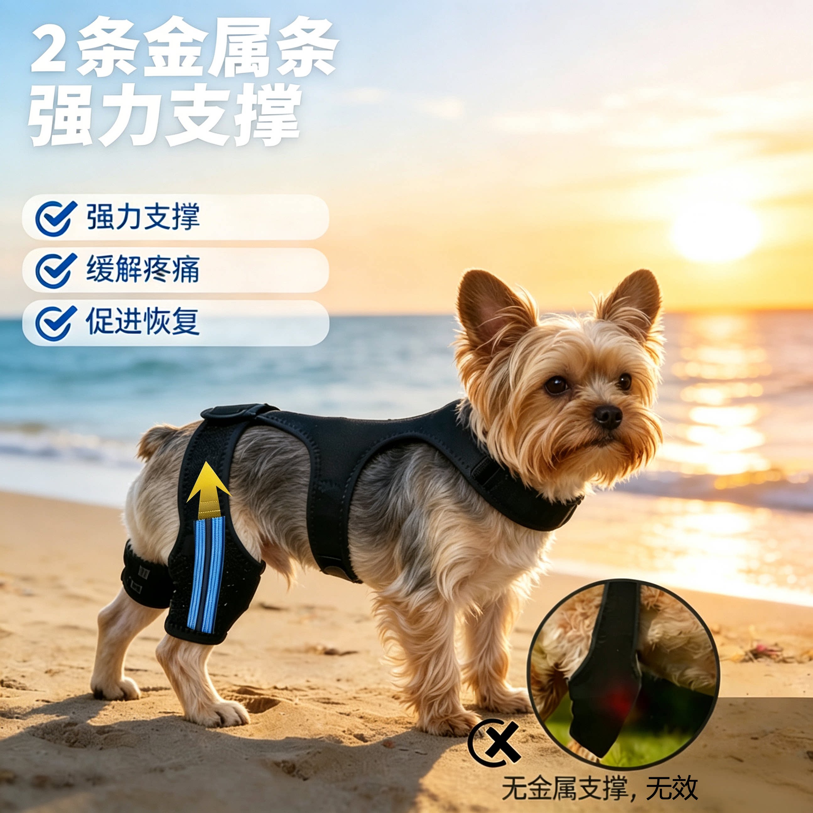狗狗约克夏护膝ACL支撑训练器