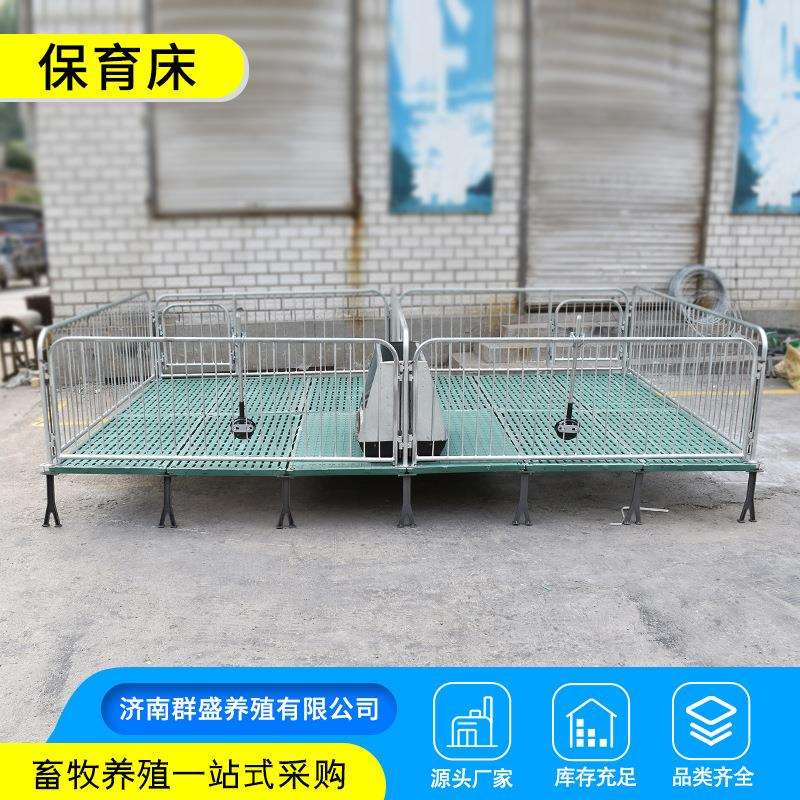 单体母猪产床分娩床复合保育床养母猪专用养殖设备产床保育床