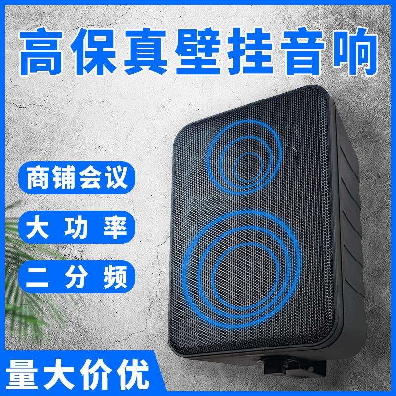 4寸壁挂音箱 公共广播专用定阻/定压门店铺超市商场会议壁挂音响