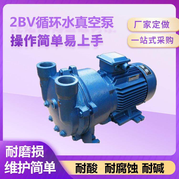 2BV2061水环式真空泵 木工机械配套真空吸附 穗诚现货,玩具/童车/益智/积木/模型,毛绒/玩偶/公仔/布艺类玩具,淘宝优惠券,粉丝福利购,淘宝优惠卷