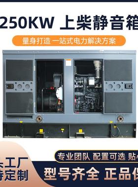 海柴250KW上柴配爱尔玛（静音箱）柴油发电机组380V大功率环保防