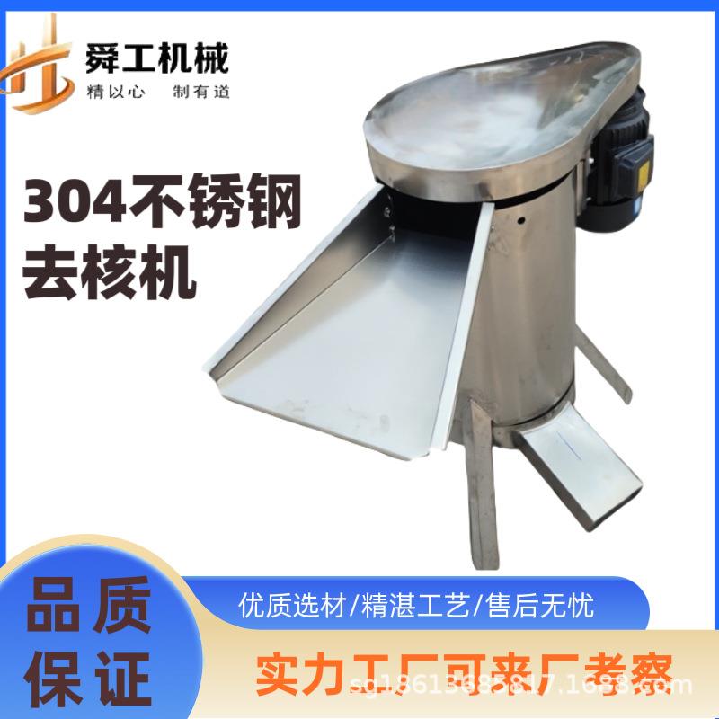 带核水果大型去核打浆机商用油柑李子冬枣脱核机核肉分离打浆机