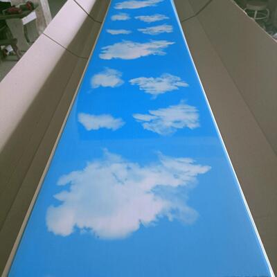 pvc塑料扣板新款蓝天屋顶装饰客厅厨房厕所卧室熟胶长条扣板