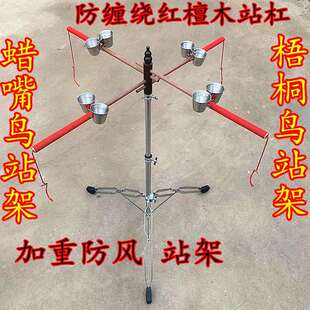 蜡嘴鸟架子梧桐鸟架子训鸟架单只鸟站架鸟站架梧桐鸟架淘