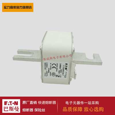 熔断器170M6066 170M6067 170M6068 170M6069 170M6070 170M6071