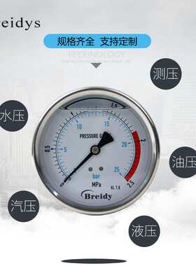 YN100Z压力表不锈钢耐震压力表测水压气压通用0-1.6/100mpa多量程