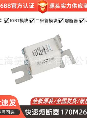 170M2666170M2667快速熔断器电子元器件型号齐全量大价优