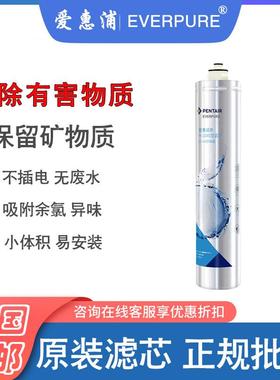 EVERPURE爱惠浦家用净水器H-100C主滤芯厨下末端超滤直饮水过滤器