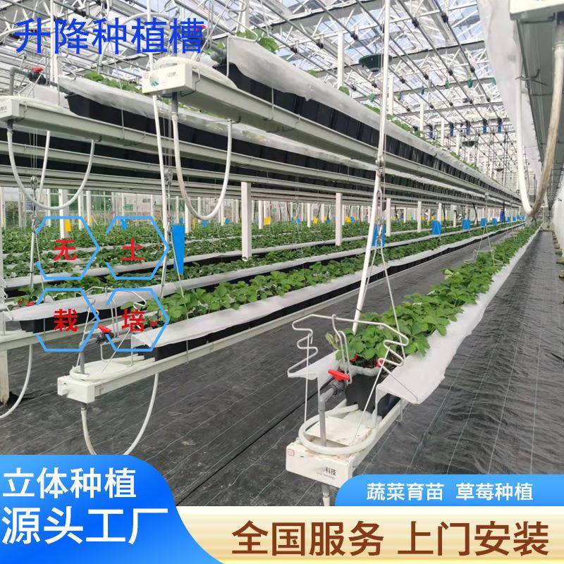 无土栽培升降育苗种植槽空中栽培草莓种植立体栽培蔬菜种植槽