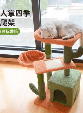 仙人掌猫爬架FBA标准件小户型不占地四季猫跳台猫树