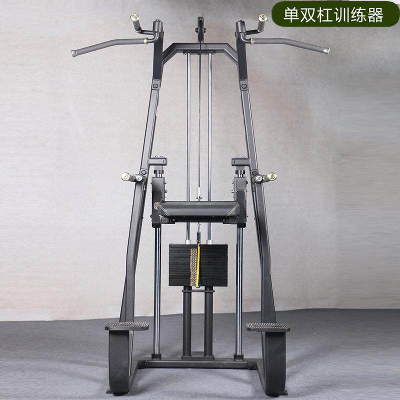 单双杠Dip/ChinAssist训练器商用大型健身器健身房器材