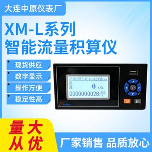 XM-L系列智能流量积算仪流量累积数显表数字显示仪表现货
