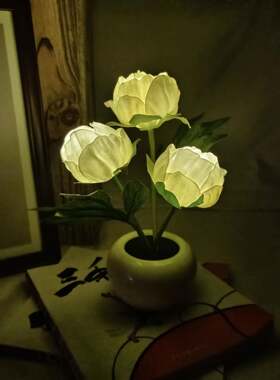 新款牡丹花led仿真郁金香花盆栽灯家居摆件装饰台灯小夜灯氛围灯