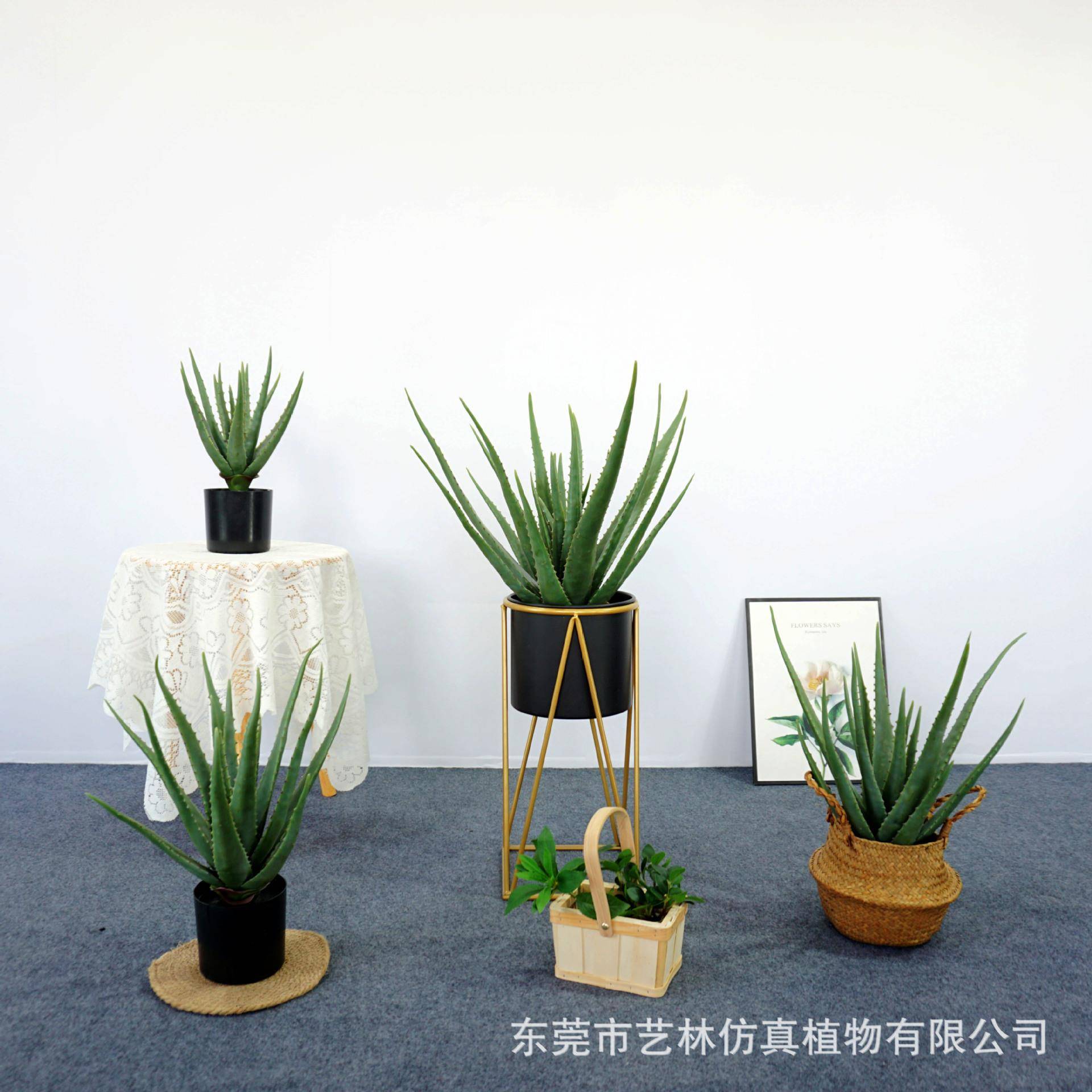 北欧风仿真绿植芦荟盆栽室内客厅装饰落地摆件人造假植物造景